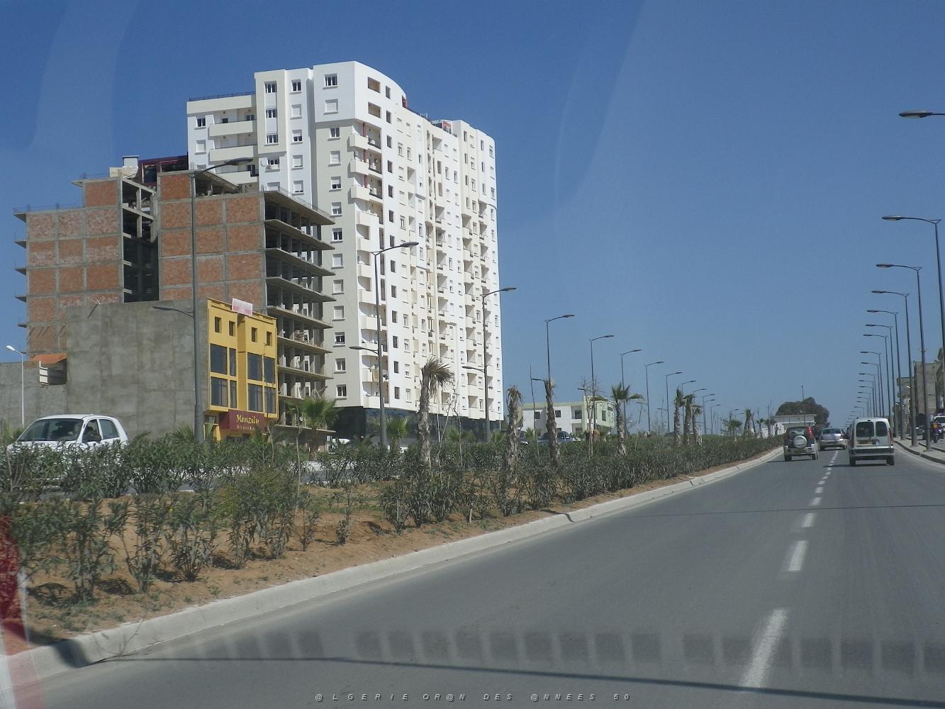 1344 toujours VILLE NOUVELLE D'ORAN .JPG